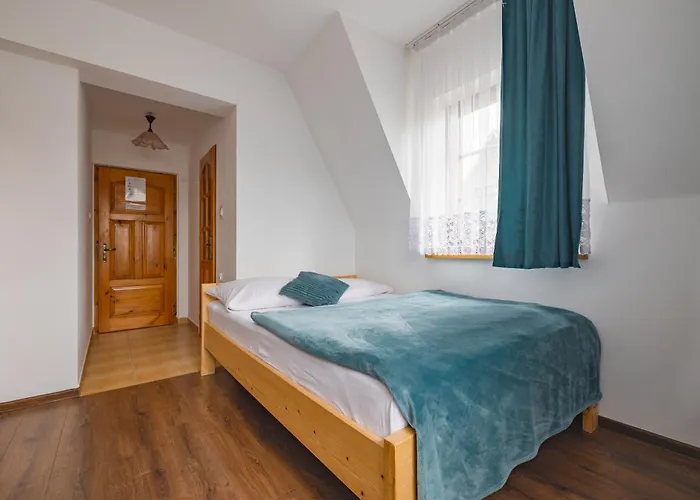 Budget - Tanie Burtek