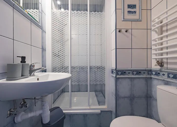 Budget - Tanie Burtek * ザコパネ