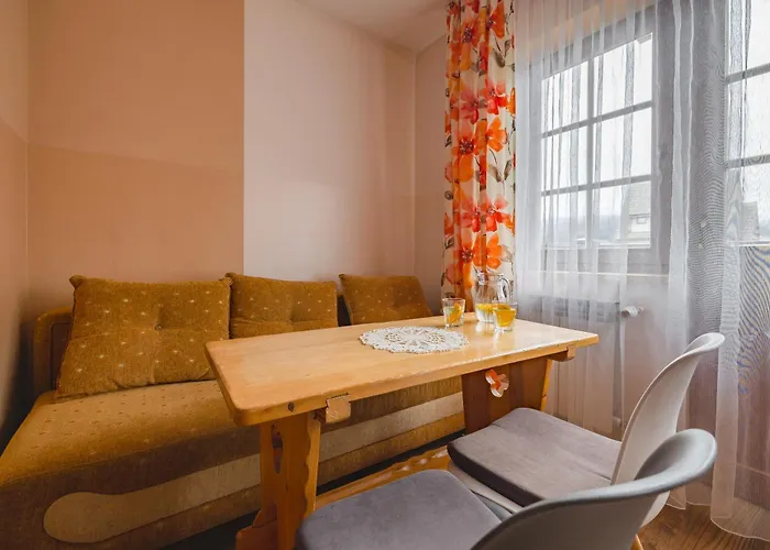 Budget - Tanie Burtek * ザコパネ