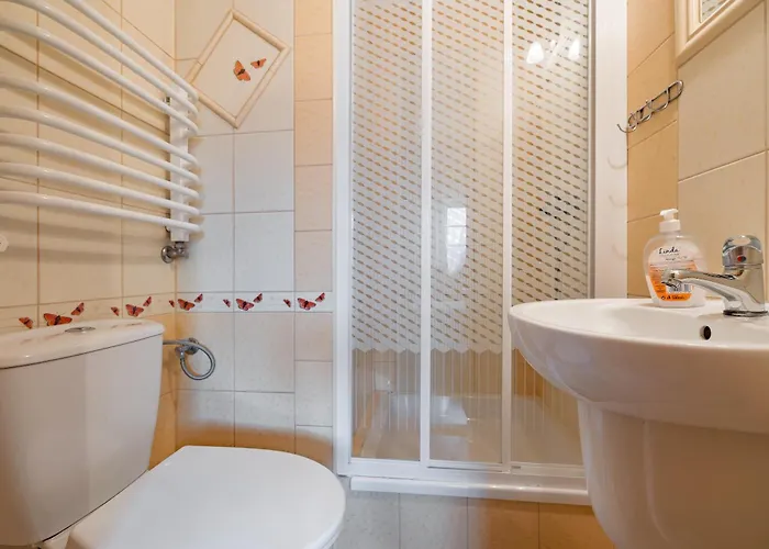 Budget - Tanie Burtek *