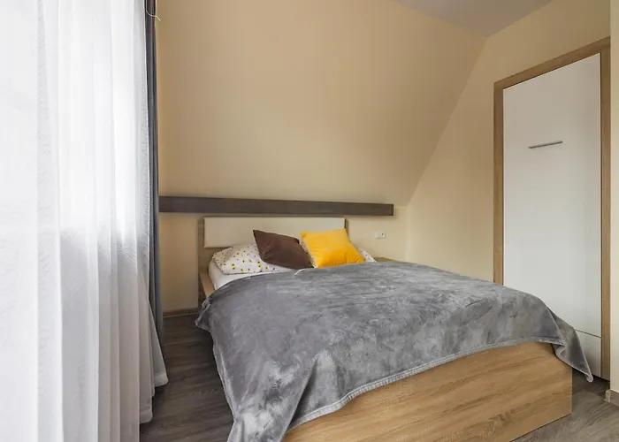 Budget - Tanie Burtek * ザコパネ