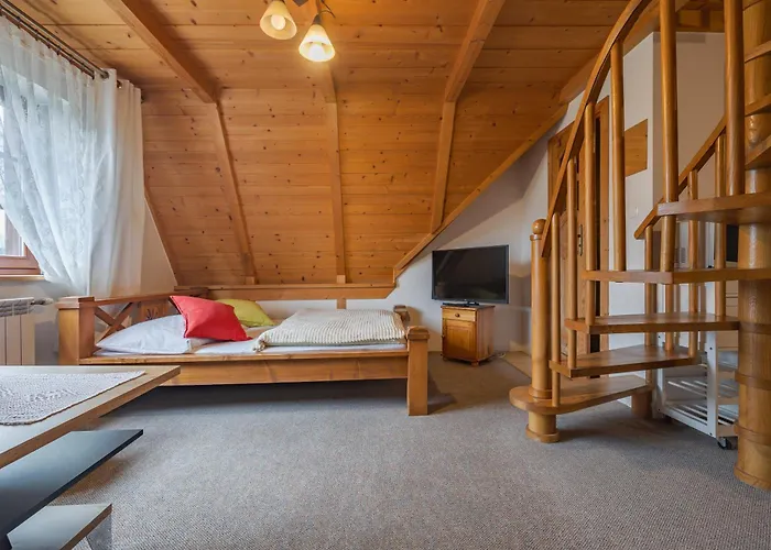 Budget - Tanie Burtek ザコパネ