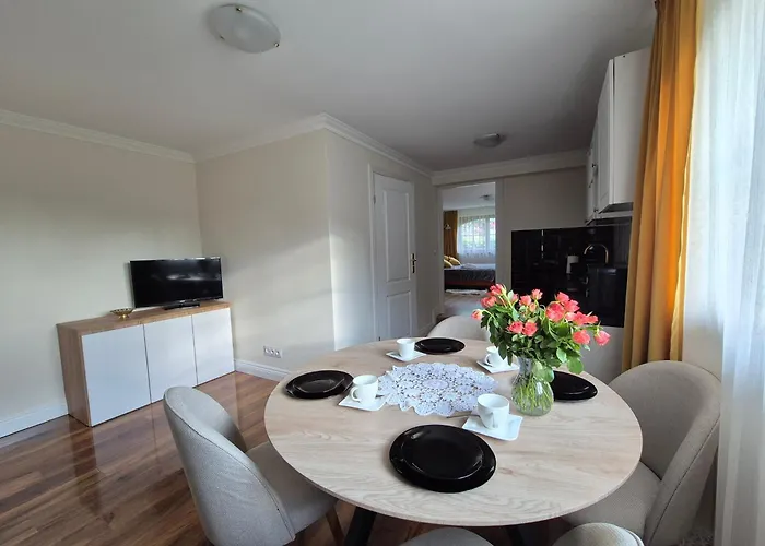 Budget - Tanie Burtek