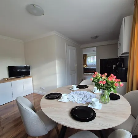 Budget - Tanie Burtek