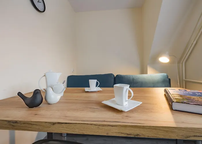 Budget - Tanie Burtek *